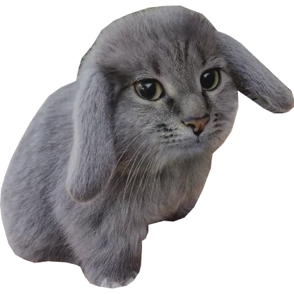 :cabbit:
